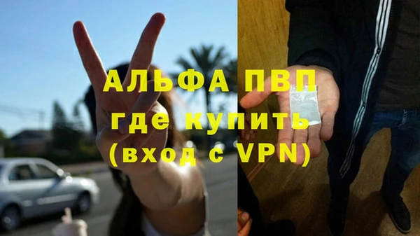 крисы Алзамай
