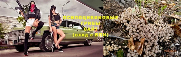крисы Алзамай