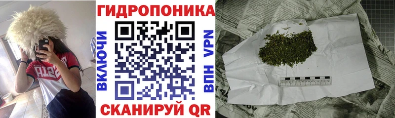 наркотики  Кудрово  Шишки марихуана семена 